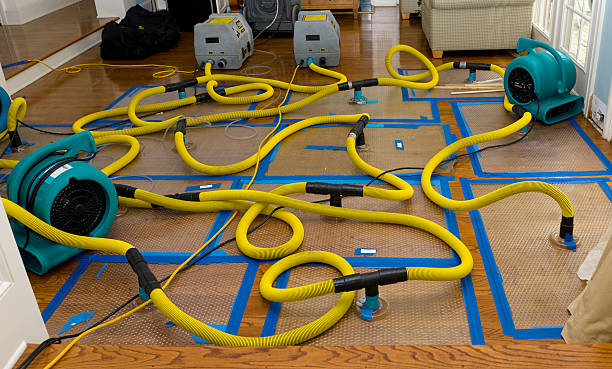 Professional Crawl Space Water Removal technician working in Wellsville, PA